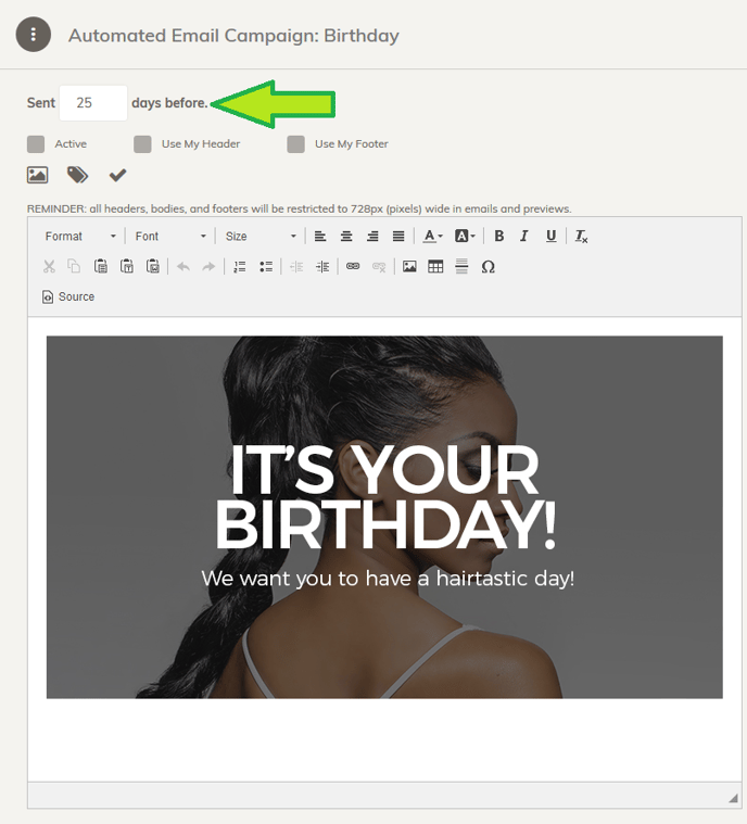 auto email campaign birthday